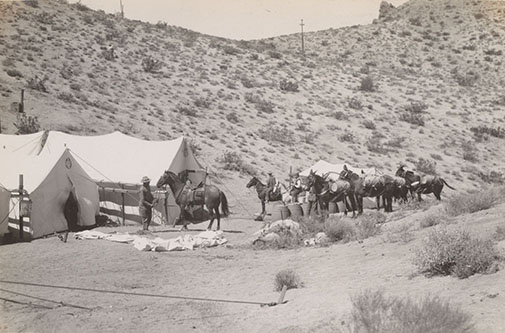 saddle camp